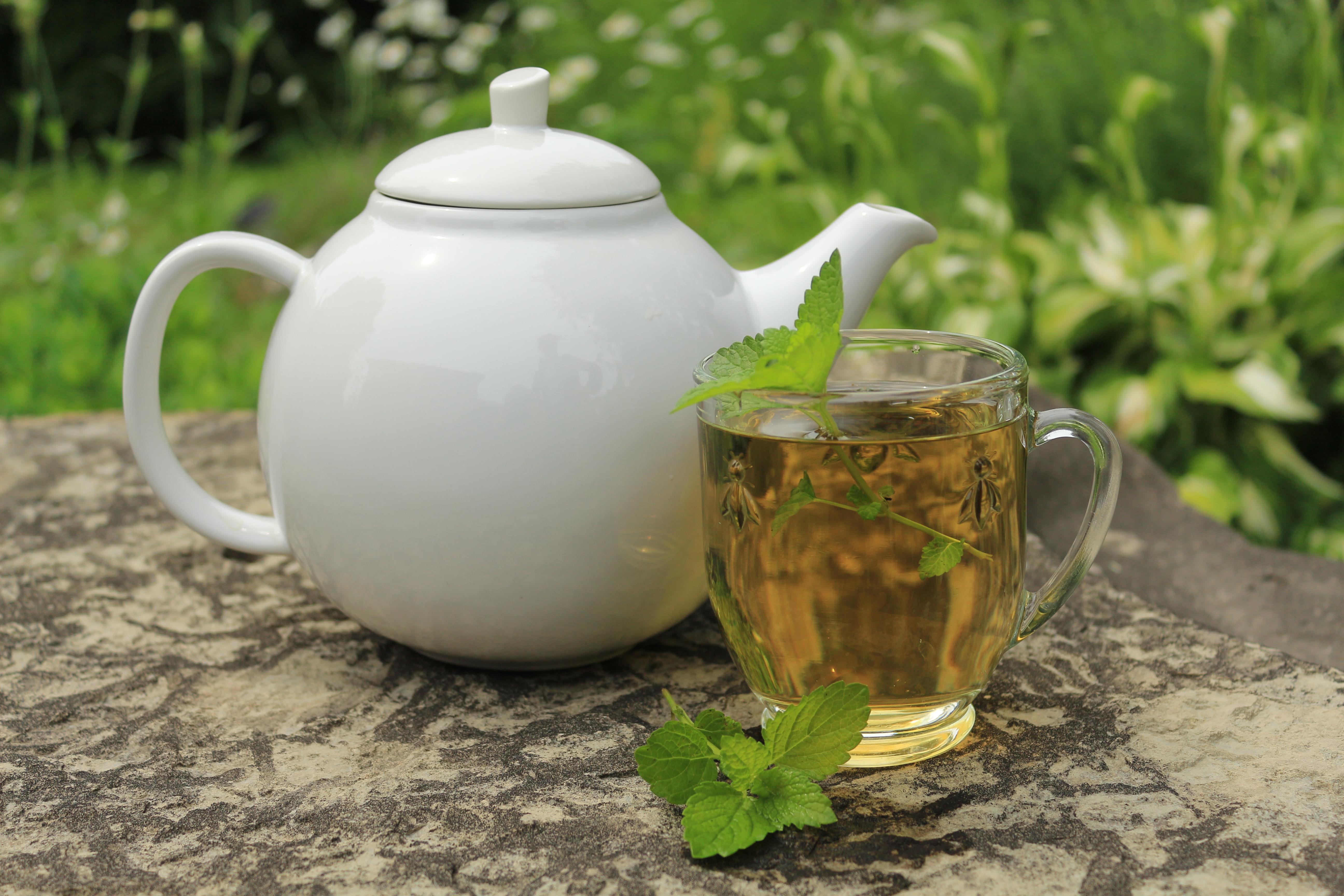 Can You Drink Hot Herbal Tea While Pregnant